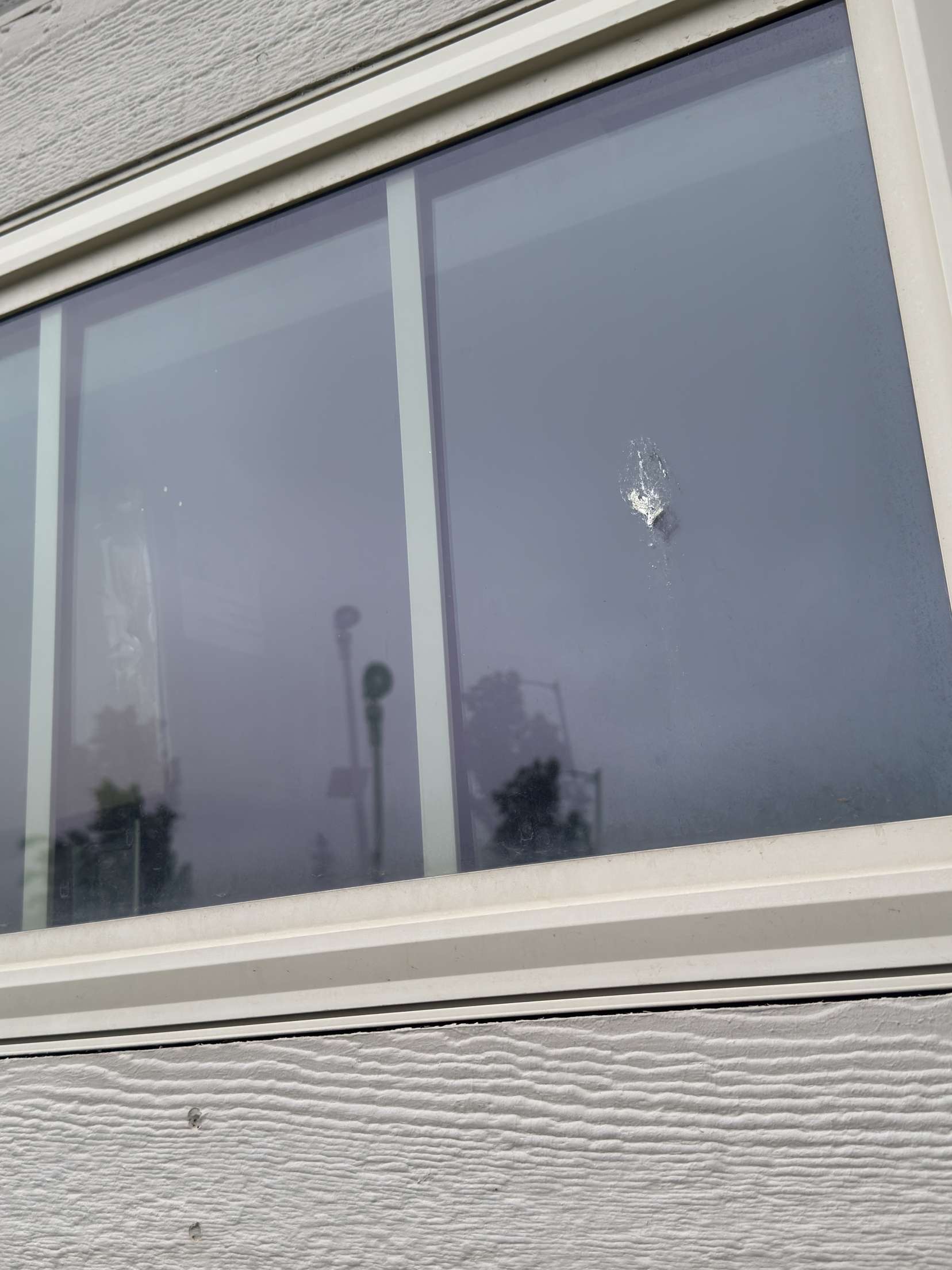 Before Window Cleaning
