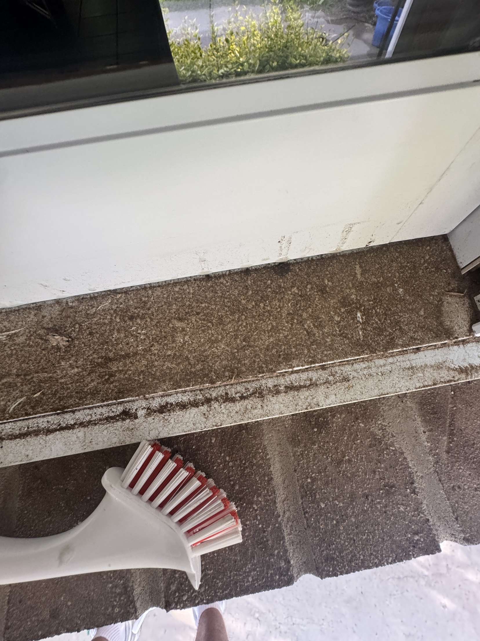 Before Cleaning